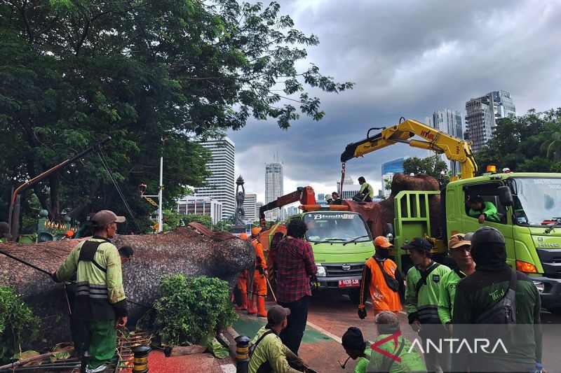 Pohon tumbang, MRT Jakarta evakuasi 524 pelanggan