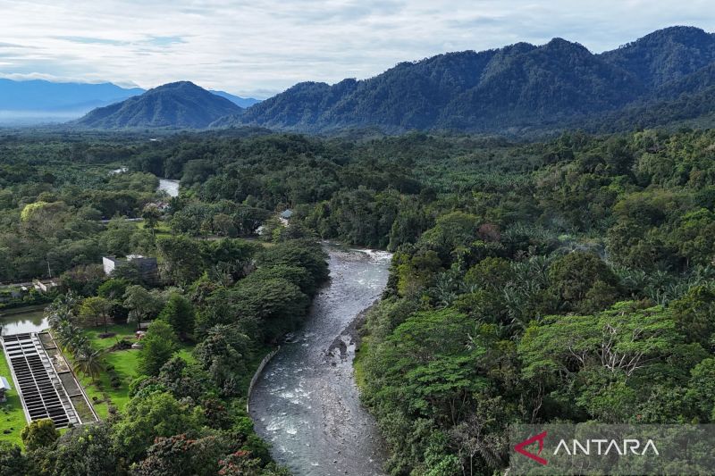 menakar-kebijakan-fiskal-penyelamat-alam