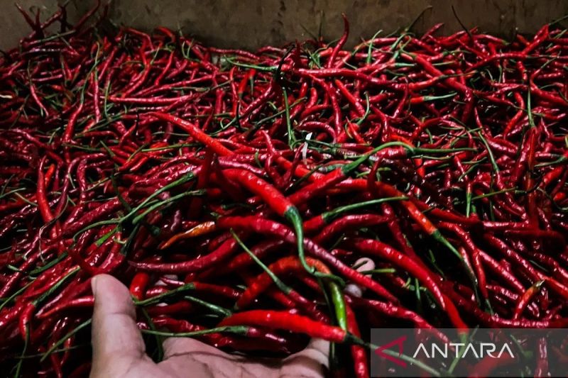 pihps-harga-bawang-merah-rp40000-per-kg-cabai-rawit-rp48000-per-kg