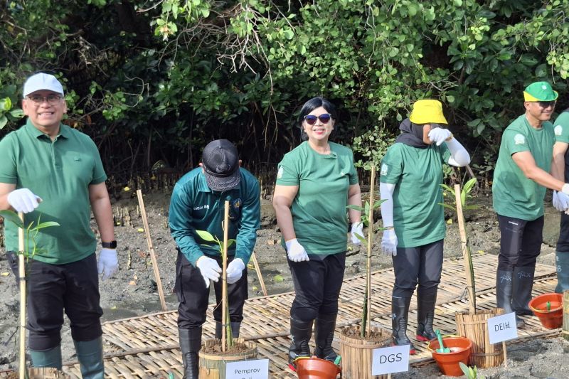 bali-sambut-baik-kalkulator-hijau-bi-hitung-transisi-ramah-lingkungan