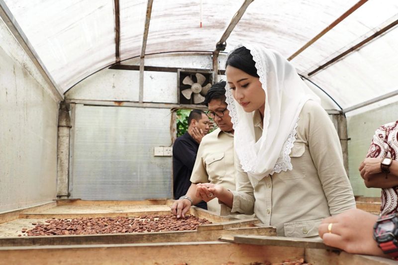 wamendag-arahkan-eksportir-kakao-bali-manfaatkan-kerja-sama-pemerintah