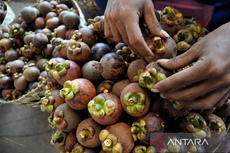 purwakarta-wujudkan-ekonomi-hijau-dan-berkelanjutan