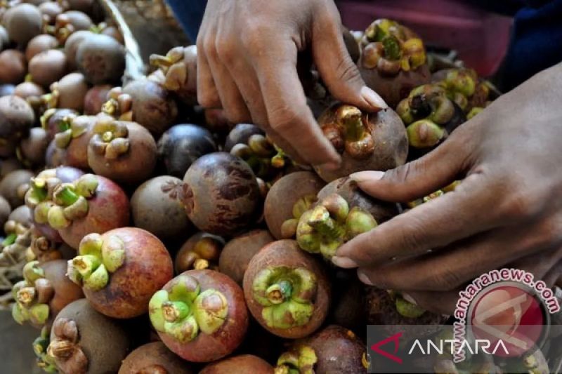 purwakarta-wujudkan-ekonomi-hijau-dan-berkelanjutan