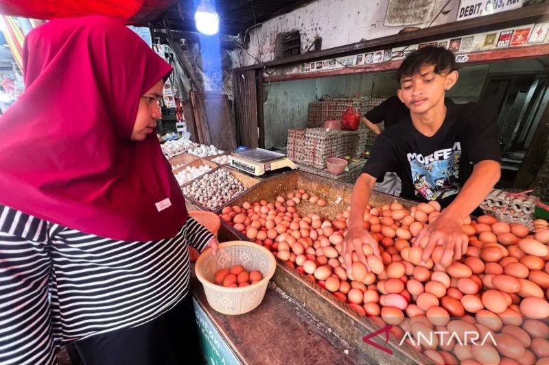 bps-kenaikan-harga-telur-tak-lagi-meluas-hanya-151-kabupatenkota