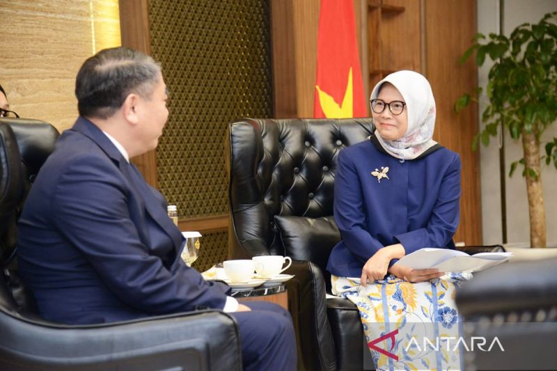 BPK komitmen perkuat kerja sama dengan SAV Vietnam