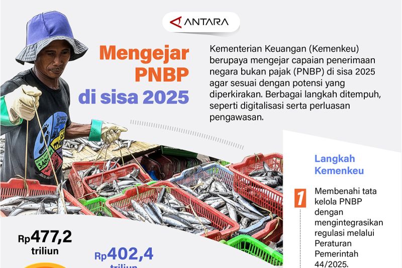mengejar-pnbp-di-sisa-2025