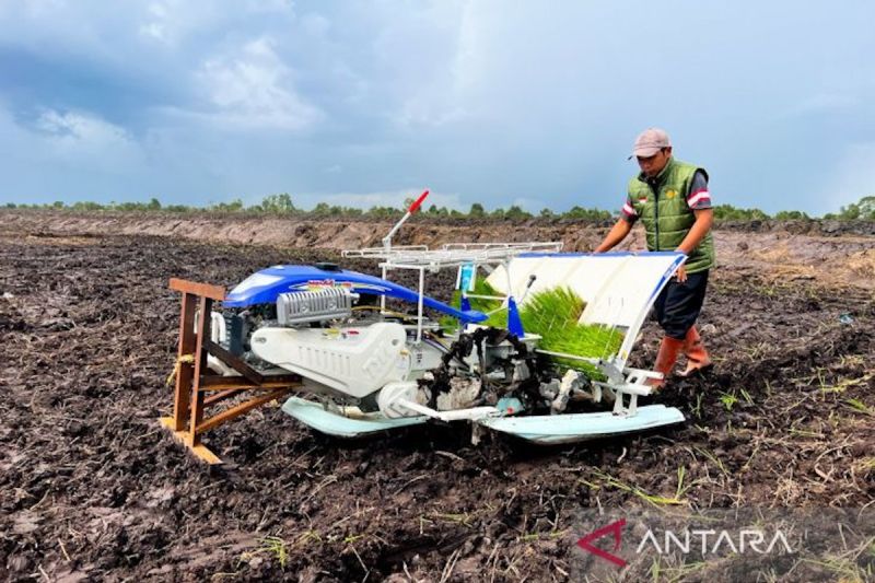 ipb-agronomi-pendayagunaan-lahan-cetak-sawah-tingkatkan-produktivitas