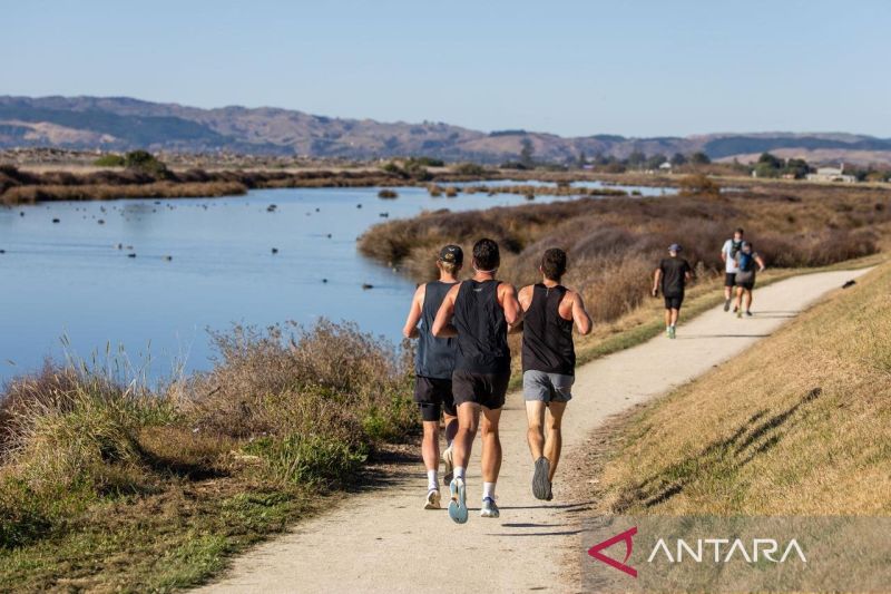 cara-selandia-baru-mengembangkan-pariwisata