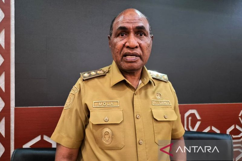 Wagub: Rumah sakit di Papua Barat wajib layani pasien kritis