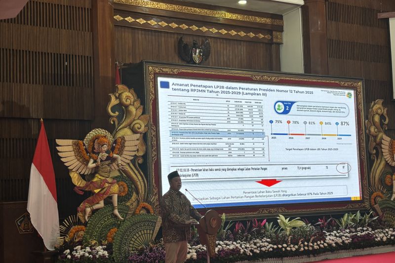 menteri-atr-dukung-bali-hentikan-alih-fungsi-tapi-tetap-cetak-sawah