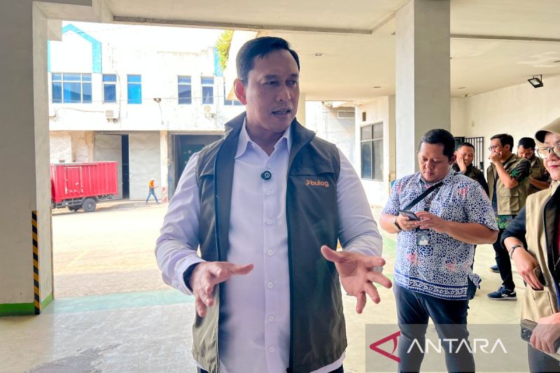 dirut-bulog-tegaskan-stok-beras-aman-tak-perlu-impor