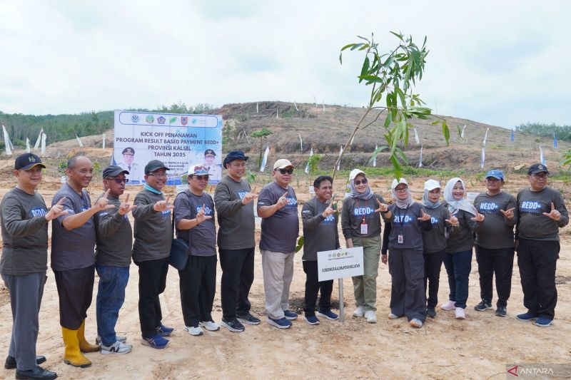 Pemprov Kalsel terapkan program tanam RBE seluas 100 hektare di Cempaka