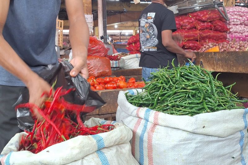harga-cabai-merah-tembus-rp200-ribu-per-kg-di-aceh