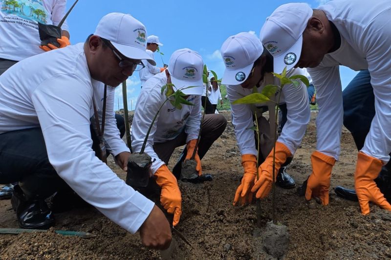 Tumbuhkan harapan dari akar bumi, komitmen PNM hijaukan negeri