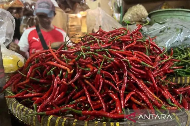 pihps-harga-cabai-rawit-rp55250-per-kg-telur-ayam-rp31800-per-kg