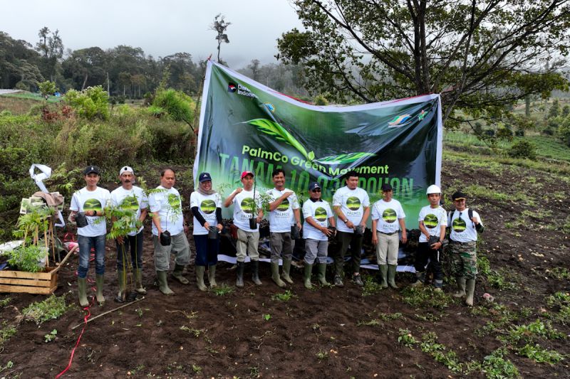 palmco-masif-tanam-pohon-di-12-provinsi-mencegah-degradasi-lingkungan