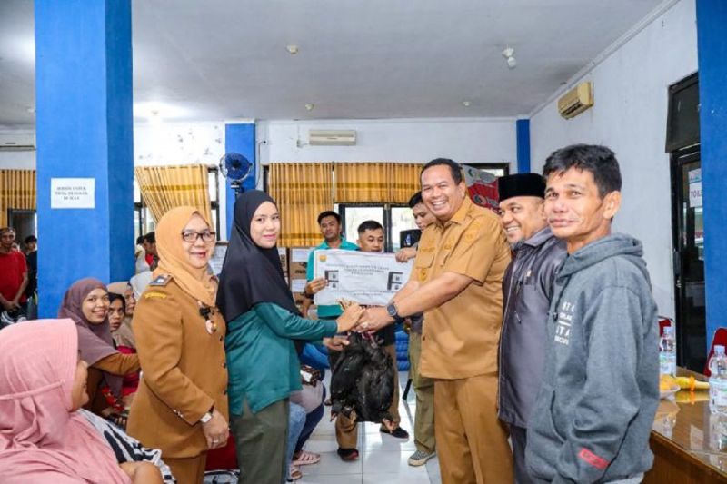 pemkot-pariaman-bagikan-1125-ekor-ayam-kub-tingkatkan-ekonomi-warga