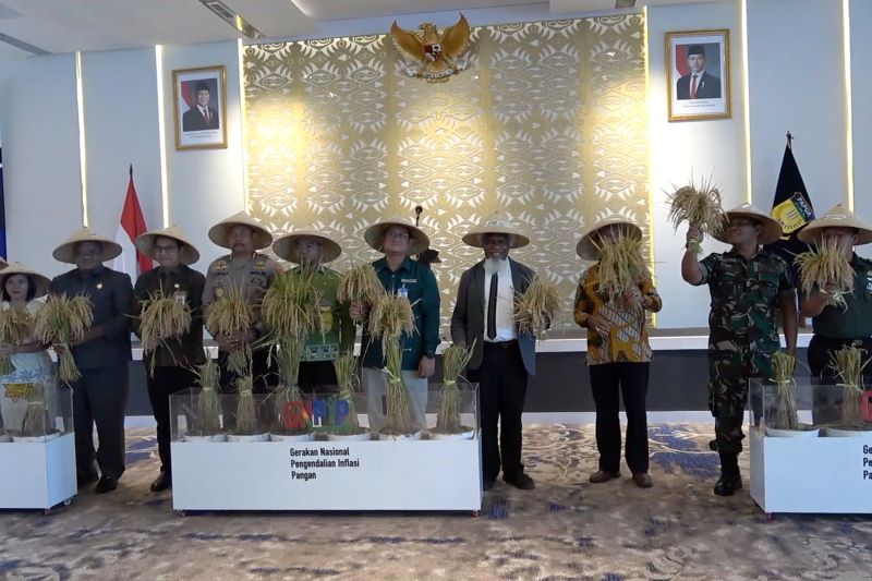 jelang-nataru-bi-papua-gelar-pasar-murah-jaga-stabilitas-harga-pangan