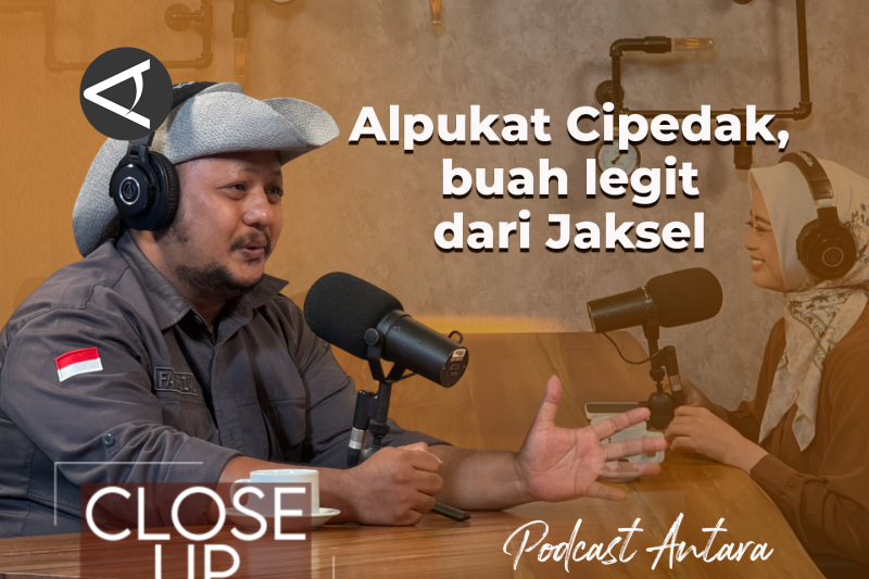 bawa-alpukat-cipedak-dari-jagakarsa-ke-seluruh-indonesia-2