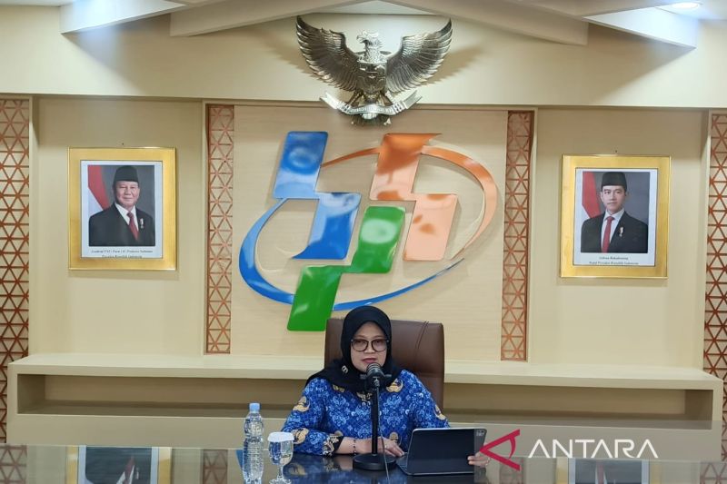 bps-proyeksikan-produksi-dan-luas-panen-jagung-naik-sepanjang-2025