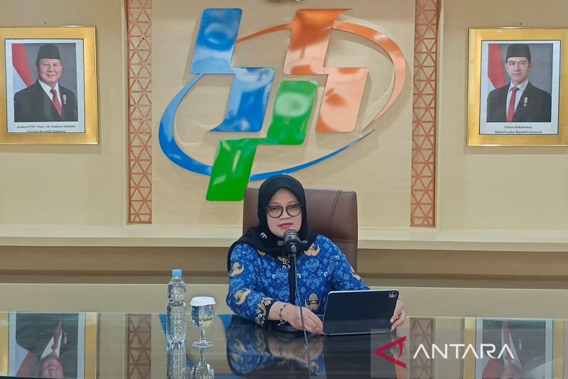 bps-proyeksikan-produksi-beras-hingga-akhir-tahun-capai-3479-juta-ton