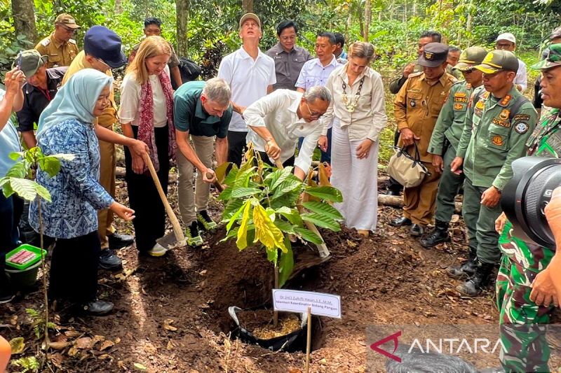 zulhas-perkuat-perhutanan-sosial-lampung-lewat-bantuan-bibit-kakao