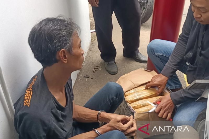 pengedar-ganja-46-kg-di-cengkareng-ditangkap-polisi