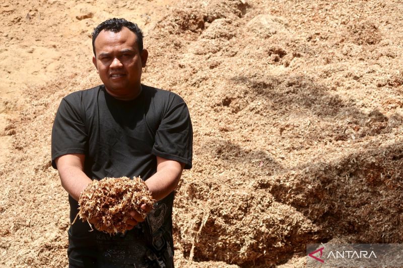 mewujudkan-swasembada-energi-dari-limbah-kayu