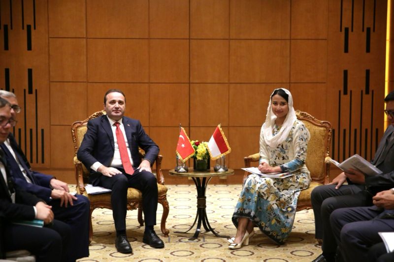 wamendag-dorong-fleksibilitas-perdagangan-indonesia-turki