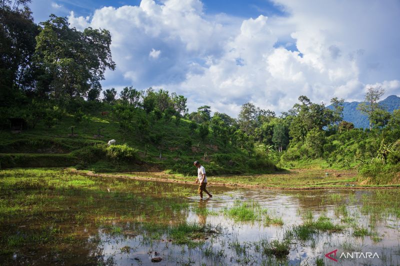 melipat-jarak-distribusi-pupuk