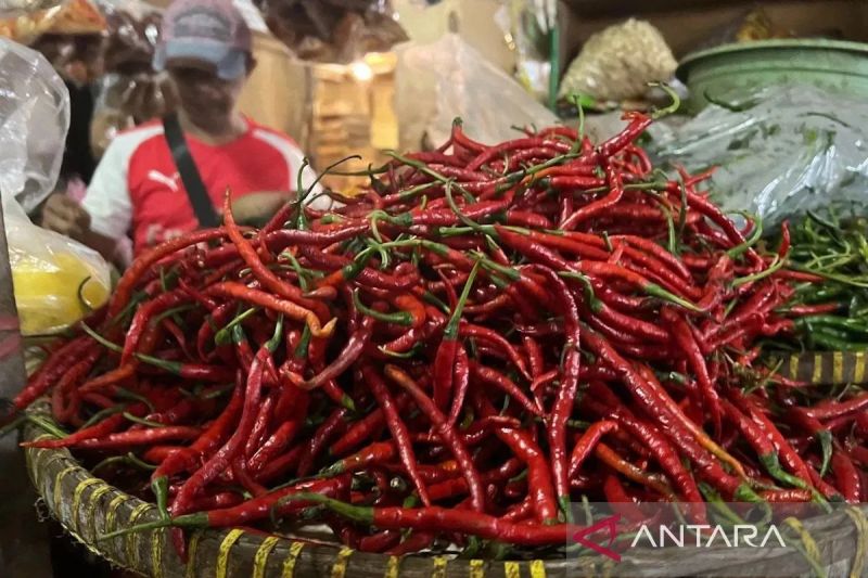 pihps-harga-cabai-rawit-rp74250-per-kg-telur-ayam-rp32550-per-kg