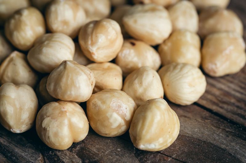 lpei-ekspor-kemiri-ri-melonjak-350-persen-jadi-958-juta-dolar-as