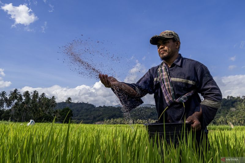 ketika-het-pupuk-turun-20-persen-harapan-petani-pun-ikut-tumbuh