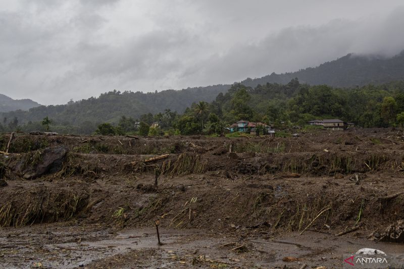 pemprov-sumbar-catat-1341-ha-sawah-alami-puso-akibat-bencana