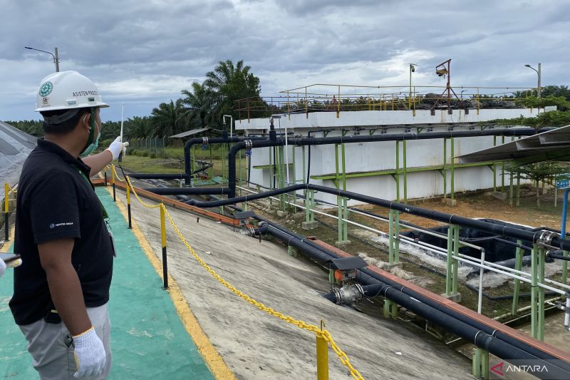 triputra-agro-persada-olah-limbah-sawit-menjadi-energi-biogas-2-mw