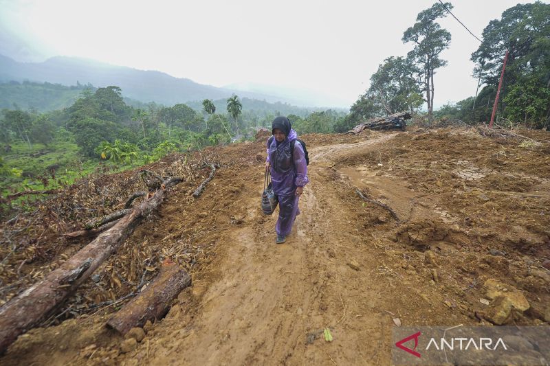 banjir-sumatera-kebun-sawit-dan-ambisi-biofuel