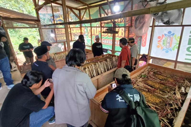 Indocement terus dorong kemandirian UMKM masyarakat desa mitra