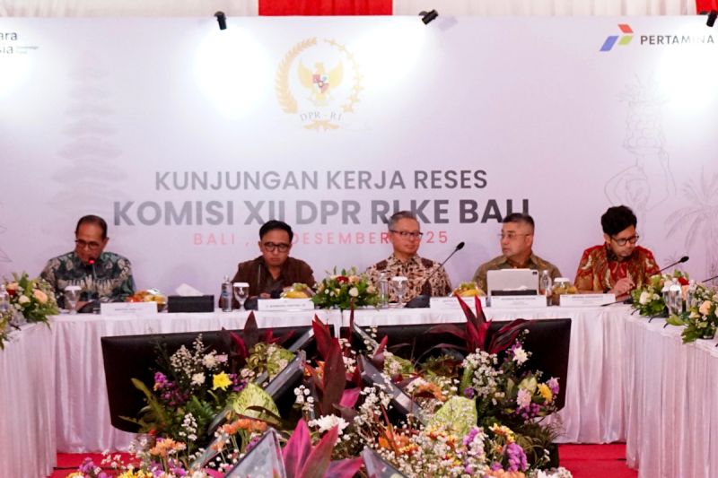 bph-migas-dan-dpr-ri-pantau-kesiapan-pasokan-energi-di-wilayah-bali