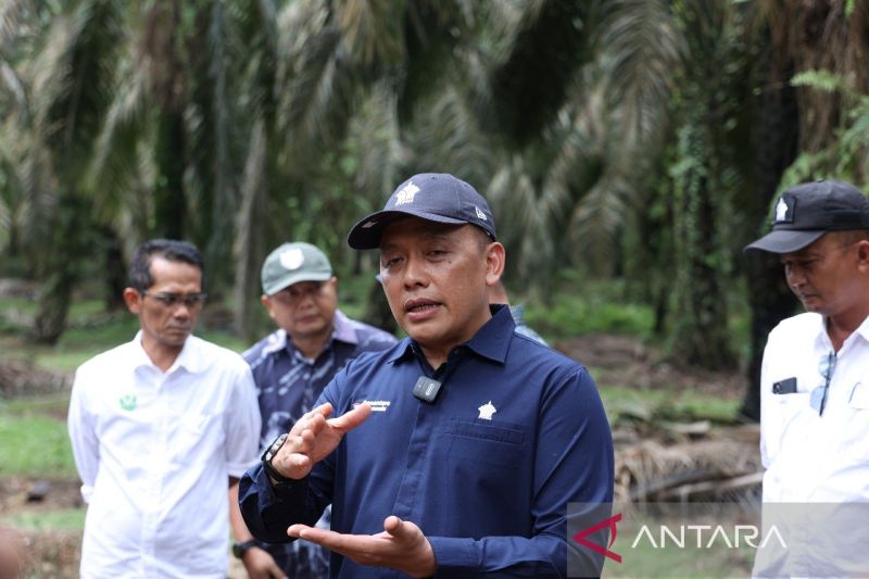 empat-kud-binaan-ptpn-iv-raih-sertifikasi-rspo