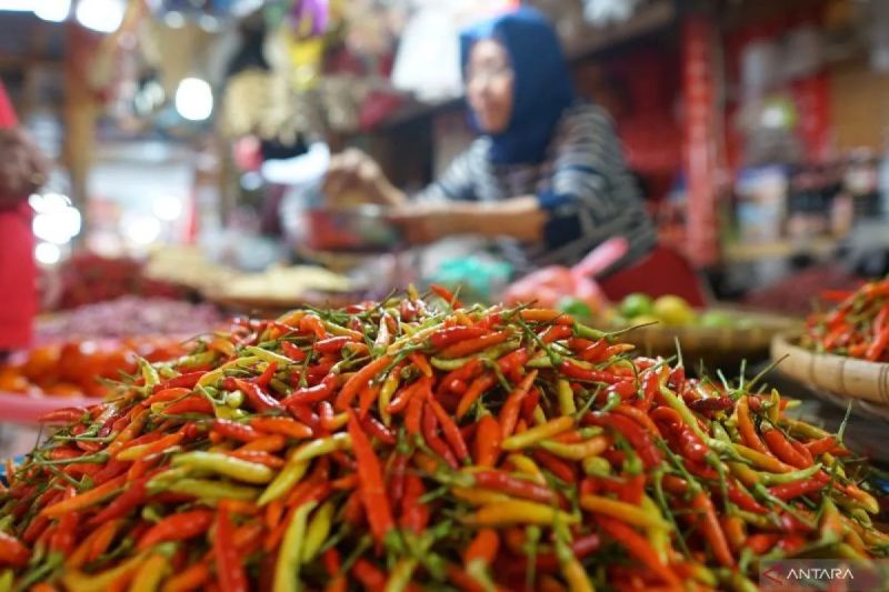 bapanas-harga-cabai-rawit-rp70534kg-bawang-merah-rp46516kg