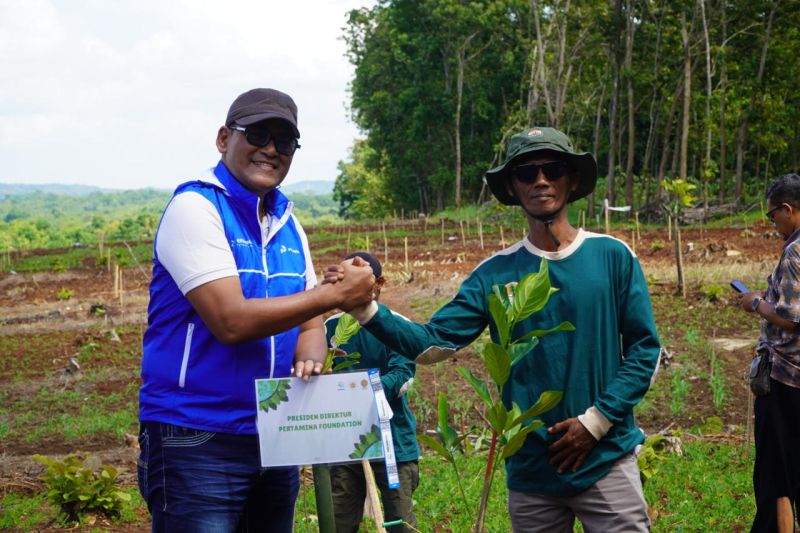 peringatihut-ke-68-pertamina-gelar-penghijauan-ratusan-hektare