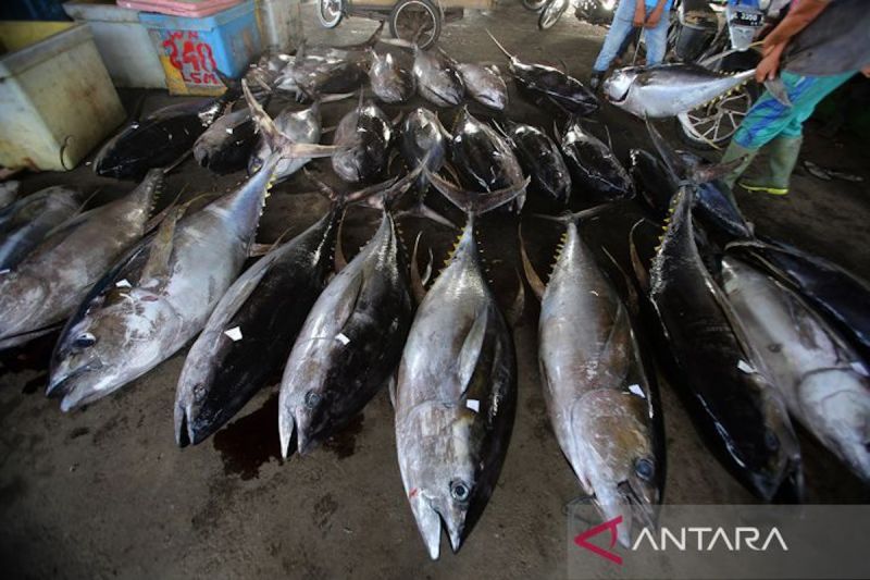 pnbp-perikanan-untuk-pemerataan-kesejahteraan-nelayan-indonesia