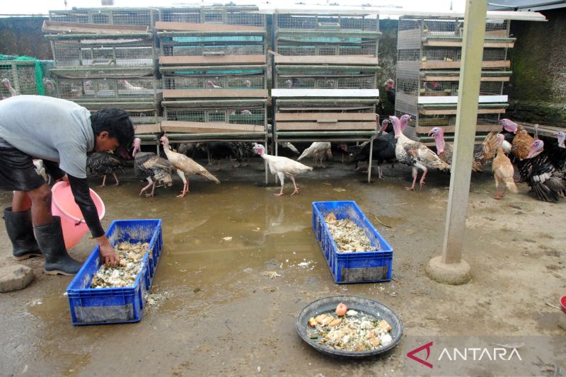 kemendes-dorong-desa-jadi-pionir-ekonomi-sirkular-nasional