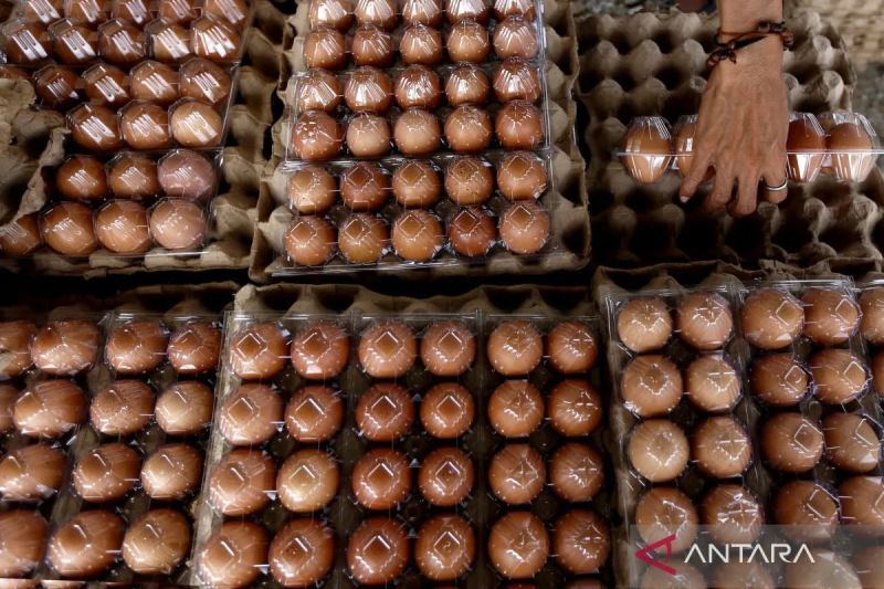 pihps-harga-cabai-rawit-rp79400kg-telur-ayam-rp32850kg