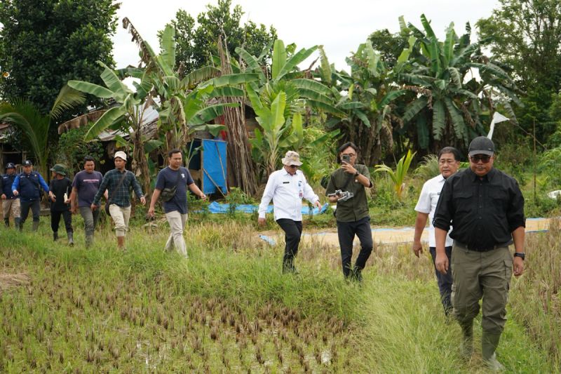 kementan-pastikan-progres-cetak-sawah-di-muara-bungo-berjalan-baik