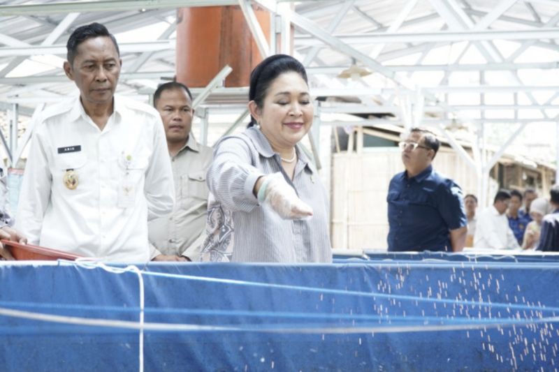 dpr-salurkan-bantuan-sarana-budidaya-ikan-dan-alsintan-bagi-bantul