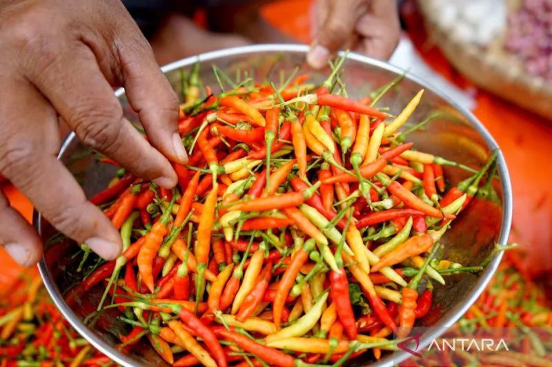 pihps-harga-cabai-rawit-tembus-rp95000kg-telur-ayam-rp38750kg