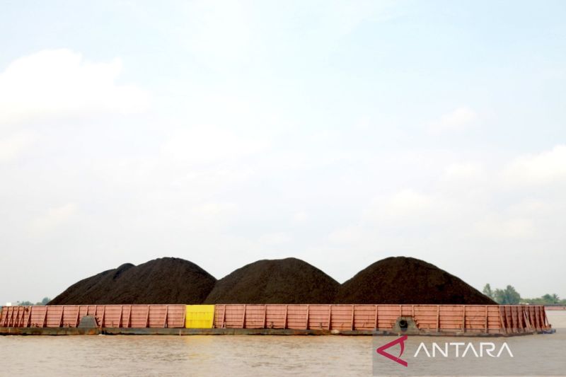 next-indonesia-tekankan-bea-batu-bara-perbaiki-tata-kelola-ekspor