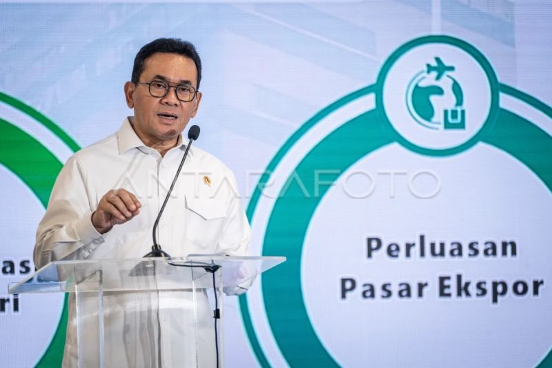 mendag-sebut-konsumsi-masih-jadi-penopang-pertumbuhan-ekonomi