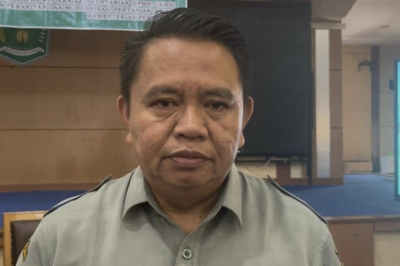 brmp-jambi-uji-coba-tanam-gandum-di-kerinci-dan-sungai-penuh